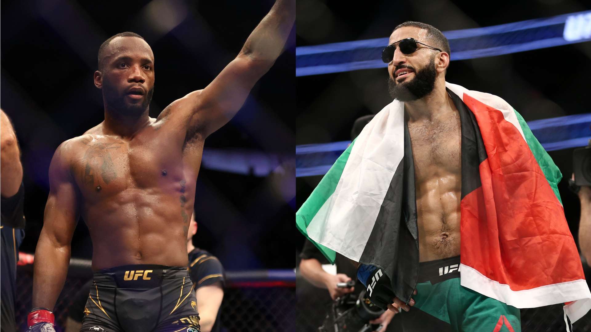 手的过往交 手的过往交