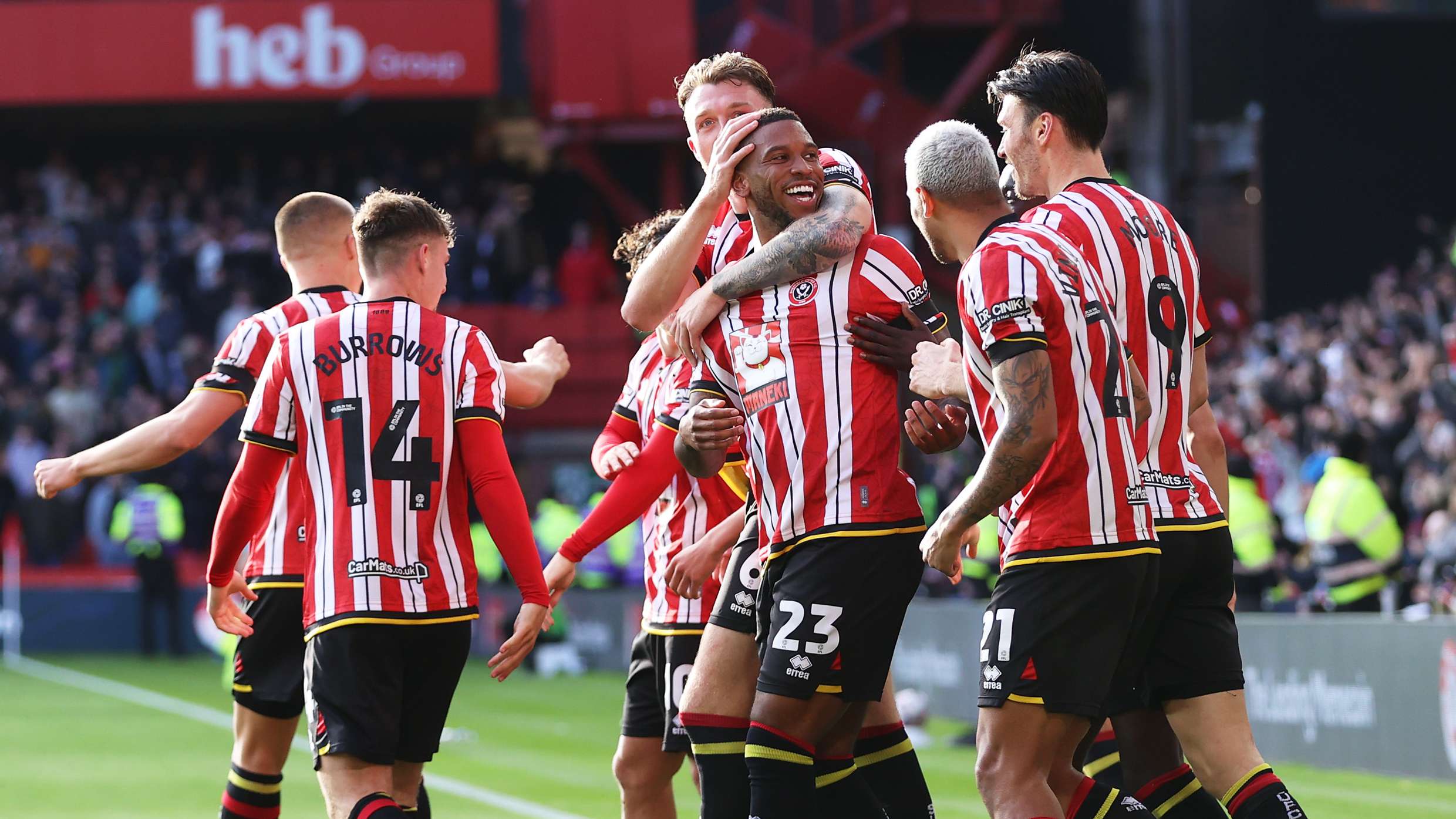 眼神中透着 眼神中透着